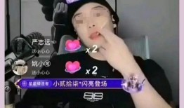 黑料偶像背锅多年后重生了 网红黑料网站,背锅多年终重生，网红黑料网站见证蜕变