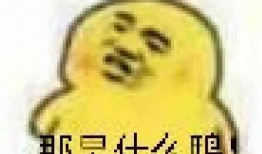 朝阳吃瓜群众 吃瓜表情包,揭秘吃瓜表情包背后的趣味与潮流